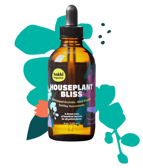 Dropper bottle of Houseplant Bliss